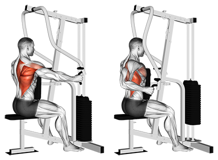 Exercise Database Back33 One Arm Seated Cable Row Machine